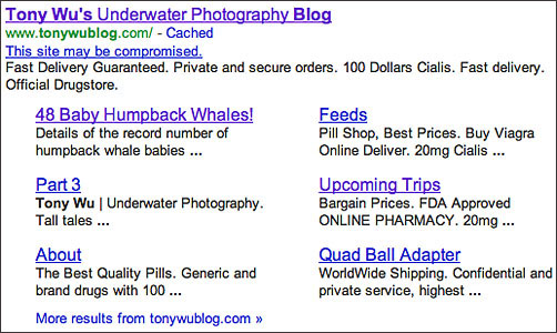 Tony Wu Underwater Photography Blog on Google after being hacked